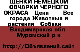 ЩЕНКИ НЕМЕЦКОЙ ОВЧАРКИ ЧЕРНОГО ОКРАСА › Цена ­ 1 - Все города Животные и растения » Собаки   . Владимирская обл.,Муромский р-н